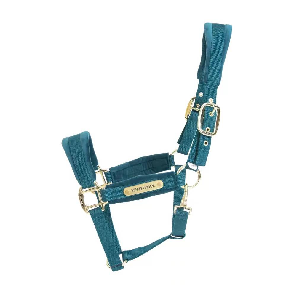 Emerald Green Cage + Horse Ride